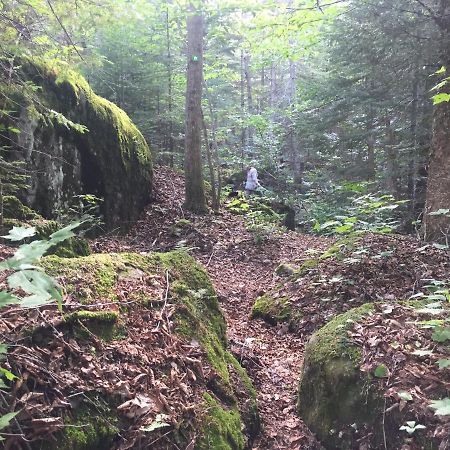Chalet Nature Laurentides Val-des-Lacs 외부 사진