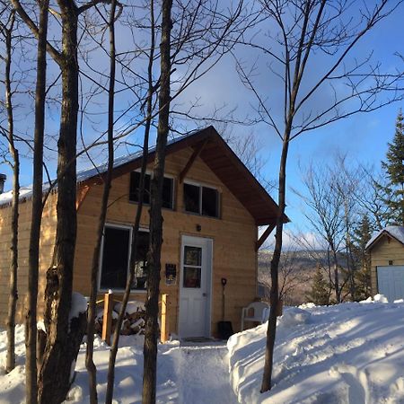 Chalet Nature Laurentides Val-des-Lacs 외부 사진