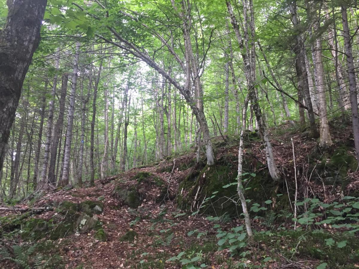 Chalet Nature Laurentides Val-des-Lacs 외부 사진