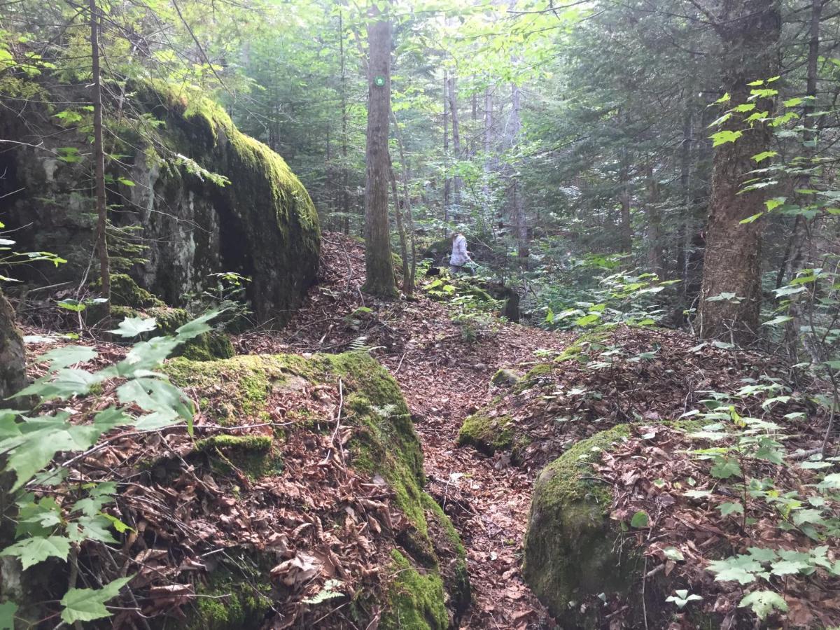 Chalet Nature Laurentides Val-des-Lacs 외부 사진