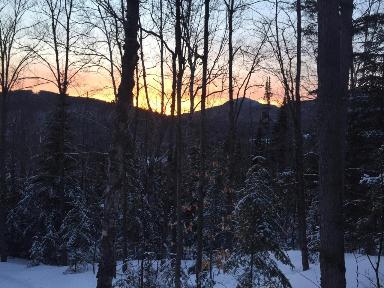 Chalet Nature Laurentides Val-des-Lacs 외부 사진