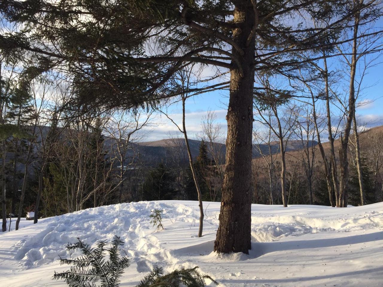 Chalet Nature Laurentides Val-des-Lacs 외부 사진